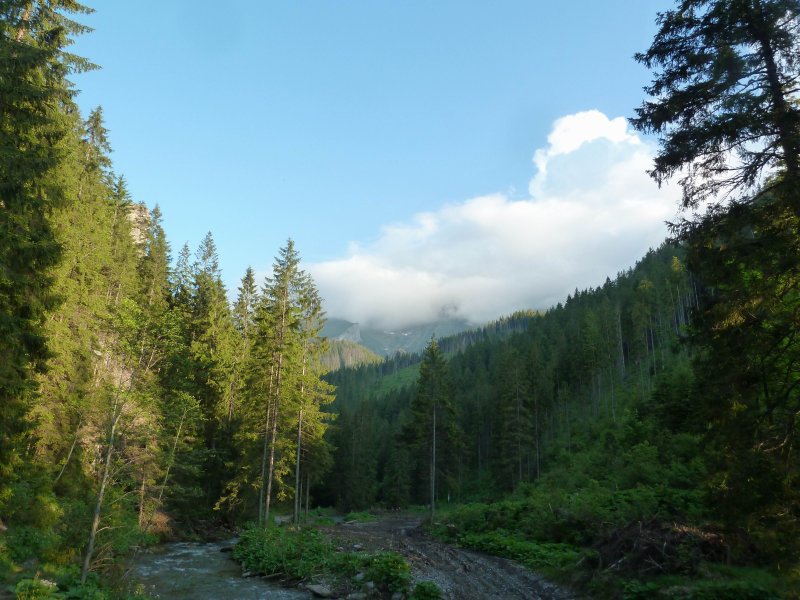 2013